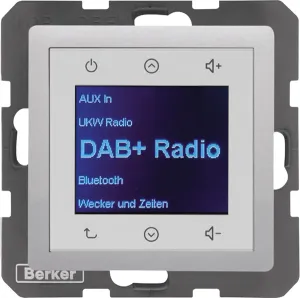 Berker Radio DAB+, Bt., Q.x alu 30846084