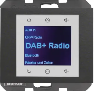 Berker Radio DAB+, Bt., K.x anth. 30847006