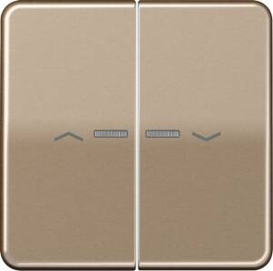 Jung Wippe Symbole/Lichtl.gold für Taster 2-fach CD 595 KO5P GB