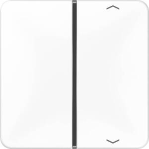 Jung Taste 1-fach aws Symbol Auf/Ab CD 401 TSAP WW
