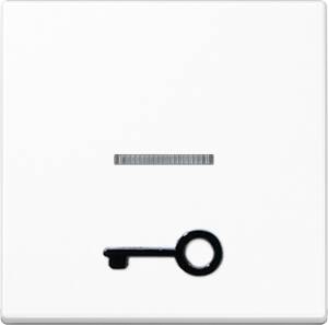 Jung Wippe abt.Symbol TÜR aws für beleuchtb.Taster A 590 T1KO WW
