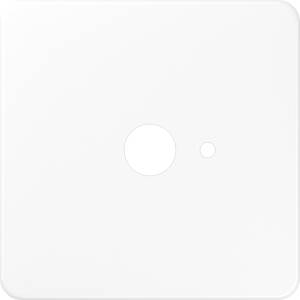 Jung Abdeckung VarioLine aws für Zugtaster CD 525.060 WW