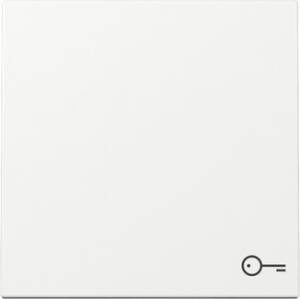 GIRA 328703 Wippe Symbol Tür System 55 Reinweiß glänzend