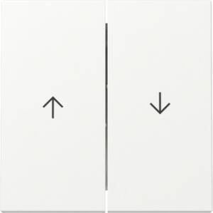 GIRA 329427 Wippe 2fach Pfeil System 55 Reinweiß seidenmatt