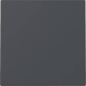 GIRA 329628 Wippe System 55 Anthrazit