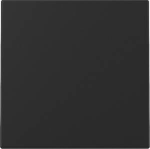 GIRA 3296005 Wippe System 55 Schwarz matt (lackiert)