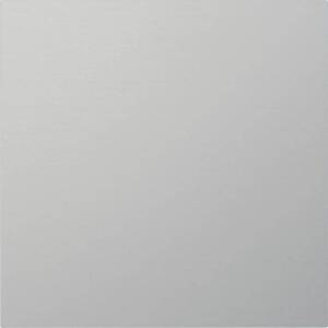Gira Info-/Blindmodul Aluminium 5554926