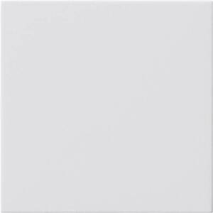 Gira Blindabdeckung rws ohne Tragring 810803