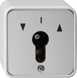 Gira Schlüsselschalter 10 AX 250 V, Einsatz 2-polig, 014430