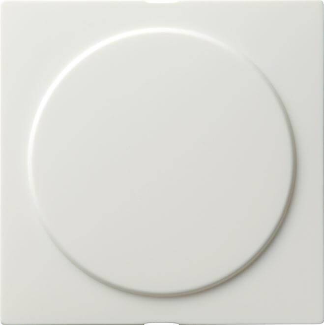 Gira Blindabdeckung rws S-Color 026840