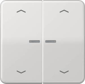 Jung Wippe Symbole/Lichtl.lgr für Taster 2-fach CD 595 KO5MP LG