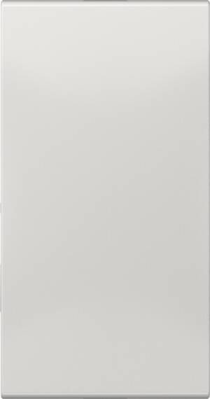 Jung Abdeckung in Tastenfarbe 33x66mm CD 50NALG