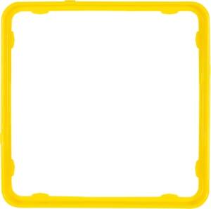 Jung Applikations-Rahmen ge CDP 81 GE