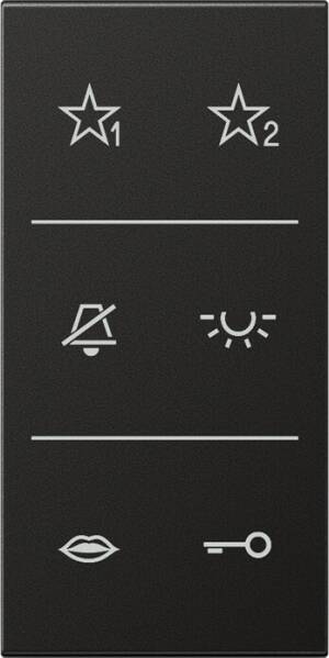Jung Design-Cover Audio Symbole SI A6 AL DC AN